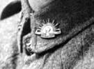 Detail of the portrait showing the collar badge - No known copyright restrictions