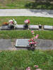 Wide view, RSA Ash area, Helensville Cemetery (photo provided by Sarndra Lees 2012) - This image may be subject to copyright