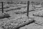 Field grave, WW2, in the Desert. Original is in the Dr H. Levien Collection - This image may be subject to copyright