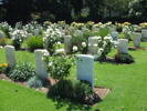 Group of graves in Sydney War Cemetery, including those of the two New Zealanders buried there.(photo G Fortune 2006) - Image has All Rights Reserved