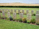 Grave line, Medjez-El-Bab Memorial, Tunisia (photo B. Coutts, 2009) - This image may be subject to copyright