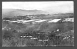 Trentham Camp, July 1915, photograph, postcard stamped (front) Postcard, divided, not franked, was glued into something and back is largely obscured - No known copyright restrictions
