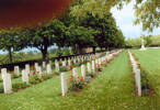 Wide view, Forli War Cemetery, (Photograph Lesley Morley 2008) - This image may be subject to copyright
