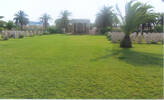 Wide view, graves, Sfax War Cemetery, Tunisia (kindly provided by family 2005) - This image may be subject to copyright