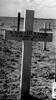 Wooden cross on the field grave of Captain Cook in the desert - This image may be subject to copyright