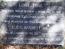 Image of Plaque at Rotorua Cemetery marking a tree that was a seedling of the Lone Pine at Gallipoli planted by C. R. G. Bassett 25 April 1965 - This image may be subject to copyright