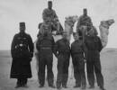 Group, 28 Maori Battalion soldier and 3 soldiers,in Egypt c. 1940, Vailima (26147) (2nd from left) and 3 unidentified soldiers, 3 Egyptians and 2 camels in desert - This image may be subject to copyright