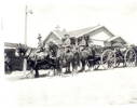 Funeral procession, Anglo Boer War veteran, H.W.P. Cox, 3 uniformed troopers mounted on Clydesdale horses, coffin in a wagon and draped in flag - No known copyright restrictions