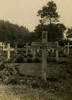 Wooden cross, Maidstone Cemetery, Kent, England - This image may be subject to copyright