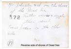 Reverse side of photo, Garden (Gairn) James Robertson (1069) (left) and soldier identified as ‘Mr Johnson, standing on shores of the Dead Sea, 1942 "Rather windier and rougher than usual. Trans Jordon on the other side" - No known copyright restrictions