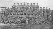 Group Photo, 4 Platoon, A company, 3 Battery, New Zealand Rifle. Brigade, Oliver & Yarnley photo. Shiress Reid is second row (seated) 4th from the left. Includes mascot - No known copyright restrictions