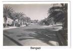Street scene, palms, almost empty road, animals and carts, lorry Bengazi c 1941-1942 (from the albums of Garden (Gairn) James Robertson (1069) - This image may be subject to copyright
