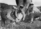 Members of TAS party from HMNZS Bellona at Great Barrier Island on demolitions. (l-r) ‘Daisy’ Brewster, Reginald Lowen, CPO ‘Dinger’ Bell (approximately 1950) - This image may be subject to copyright