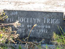 Memorial stone at Waikumete Cemetery for 12/1810 Jocelyn Trigg (on Emma Trigg's headstone) . No Known Copyright.