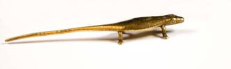 Brass lizard purchased in Egypt as a souvenir before Lance Corporal Gapes embarked to Gallipoli. Held in the personal collection of his Granddaughter Heather Harris. Image kindly provided by the Harris family. Image has no known copyright restrictions.