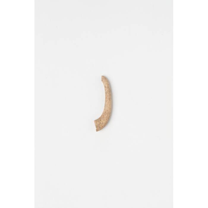 fragment, hook, 1935.171, 21834.16, Photographed by Daan Hoffmann, digital, 29 Aug 2018, Cultural Permissions Apply