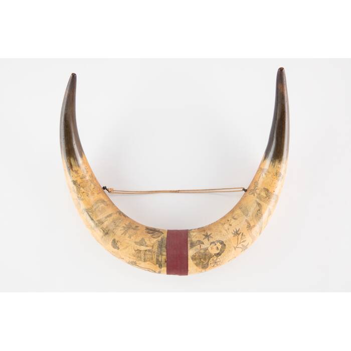 horn, scrimshaw, 1949.169, col.1349.1, 31027.1, Photographed by Denise Baynham, digital, 07 Dec 2018, © Auckland Museum CC BY