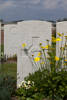 Headstone of Lance Corporal James Richard Morrison (17799). Nine Elms British Cemetery, Poperinge, West-Vlaanderen, Belgium. New Zealand War Graves Trust (BEDA9488). CC BY-NC-ND 4.0.