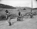 Men from Charlie troop, Royal NZ Signals Regt, laying telephone cable in Korea. New Zealand. Department of Internal Affairs. War History Branch :Photographs relating to World War 1914-1918, World War 1939-1945, occupation of Japan, Korean War, and Malayan Emergency. Original caption in album PA1-q-315 reads: "Charlie troop, Royal N.Z. Signal Regt, attached to 1st Commonwealth Signals, laying cable through a dispenser to form a snake of 5 wires. Pulling the 'snake' to the next post is: Sig. A L Philip of Cambridge, N.Z. while Sig, D N [Ngatai ?] of Tauranga, N.Z. guides it through the dispenser. The man in charge of the cable drums is: L/Cpl R. Rigg, of Twickingham, Eng. In one year Div Sigs have laid 10,000 miles of cable. 600 hundred [sic] miles of cable are in use and maintained by Div.Sigs. at present." Photograph taken 3 September 1952, by an unidentified New Zealand Army photographer. Ref: K-1338. Alexander Turnbull Library, Wellington, New Zealand. /records/23014910