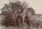 Photograph of 'Rough Rider' Frank Swanwick on horseback, date unknown. Swanwick enlisted from Lawrence, Otago. Kete Horowhenua. Image is subject to copyright restrictions.