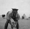Photograph of Cyril Alfred Bicknell in camp in Egypt with the regimental jackal. Image courtesy of Wairarapa100. Image may be subject to copyright restrictions.