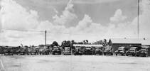 Transport Section, Fiji. Line up of vehicles and drivers, believed to be at Suav Fiji. Image from the E.J. Miller personal album, held by the Air Force Museum of New Zealand. Image kindly provided by Air Force Museum of New Zealand, CC BY NC 3.0
