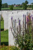 Headstone of Rifleman John Young Cook (29914). Bancourt British Cemetery, France. New Zealand War Graves Trust (FRBI3329). CC BY-NC-ND 4.0.