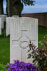 Headstone of Private Thomas Driscoll (52972). Euston Road Cemetery, France. New Zealand War Graves Trust (FRGC2782). CC BY-NC-ND 4.0.