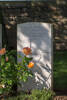 Headstone of Private Thomas Francis Power (49459). Gommecourt Wood New Cemetery, France. New Zealand War Graves Trust (FRHC6092). CC BY-NC-ND 4.0.