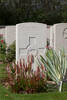 Headstone of Rifleman Bertram Alberthsen (56704). Grevillers British Cemetery, France. New Zealand War Graves Trust (FRHI7198). CC BY-NC-ND 4.0.