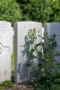 Headstone of Private John Bernard Tarleton (51450). Hebuterne Military Cemetery, France. New Zealand War Graves Trust (FRHY4907). CC BY-NC-ND 4.0.