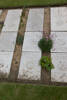 Headstone of Private Sydney Carlton McCarthny (12/3098). Boulogne Eastern Cemetery, France. New Zealand War Graves Trust  (FRCS3893). CC BY-NC-ND 4.0.