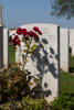 Headstone of Private Albert Henry Clarke (81743). Caterpillar Valley Cemetery, France. New Zealand War Graves Trust  (FRDQ5168). CC BY-NC-ND 4.0.