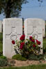 Headstone of Private Dan Ryan (8/4483). Caterpillar Valley Cemetery, France. New Zealand War Graves Trust  (FRDQ5310). CC BY-NC-ND 4.0.