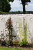 Headstone of Rifleman Arthur Gilbert Avery (24/675). Dernancourt Communal Cemetery Extension, France. New Zealand War Graves Trust  (FRFB5573). CC BY-NC-ND 4.0.