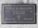 Headstone of Pte Charles Miller GALLAGHER 458201. Greenpark RSA Cemetery, Dunedin City Council, Block 3S32. Image kindly provided by Allan Steel CC-BY 4.0.