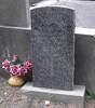 Headstone of Rfm Henry MCDOUGALL 45358. Waikouaiti/Hawkesbury Cemetery, Dunedin City Council, Block 3, Plot 7. Image kindly provided by Allan Steel CC-BY 4.0.