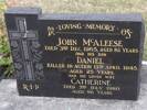 Headstone of Sub Lieut Daniel Mcaleese x. Andersons Bay General Cemetery, Dunedin City Council Block 237, Plot 47. Image kindly provided by Allan Steel CC-BY 4.0.