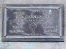 Headstone of L/Bdr Daniel Brown Carmicheal 415321. Andersons Bay RSA Cemetery, Dunedin City Council Block 2SC, Plot 19. Image kindly provided by Allan Steel CC-BY 4.0.