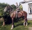 Photograph of William Angus Campbell on horse. Image kindly provided by Deirdre Cooper (April 2021).