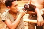 Pte Dave Naera with baby monkey belonging to one of the Orang Asli boys. Image taken during Malayan Emergency 1959-1960. © Peter Gallacher.