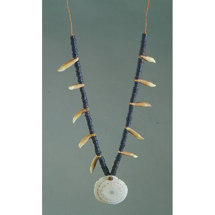 conus shell necklace