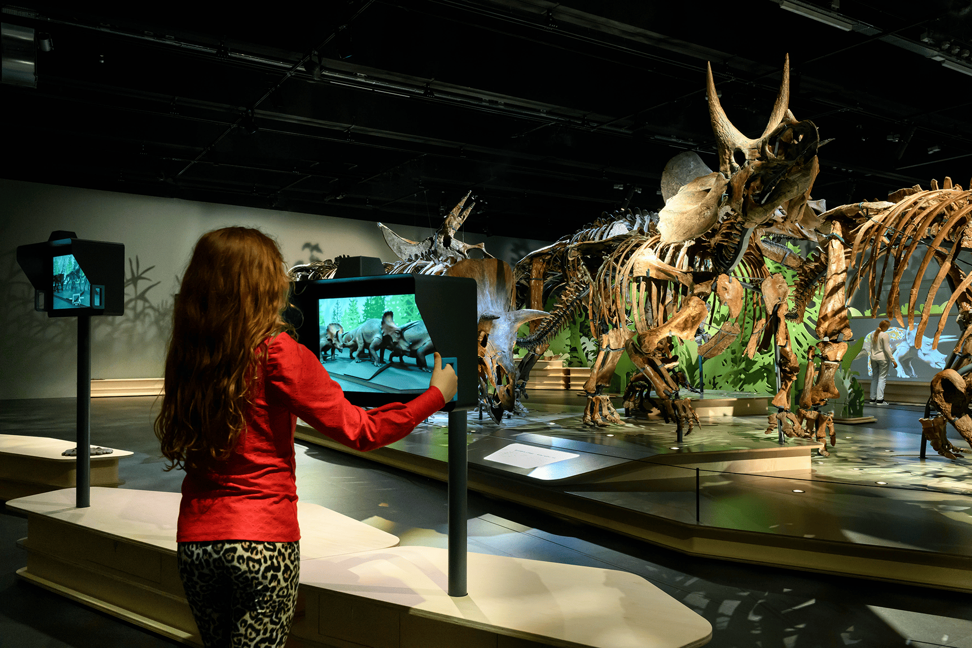 Exhibition specifics