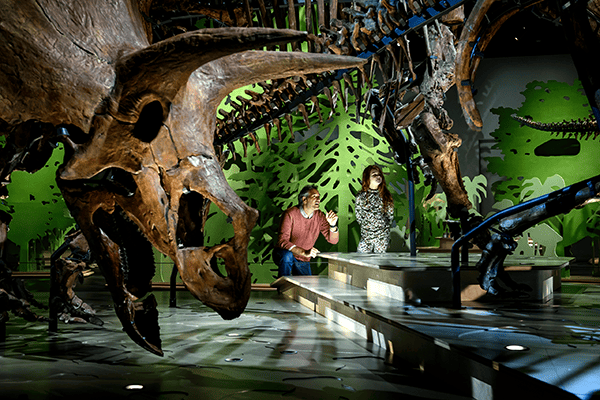 Members' Preview of <i> March of the Triceratops </i>