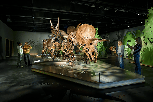 Members' Curator's Tours of March of the Triceratops