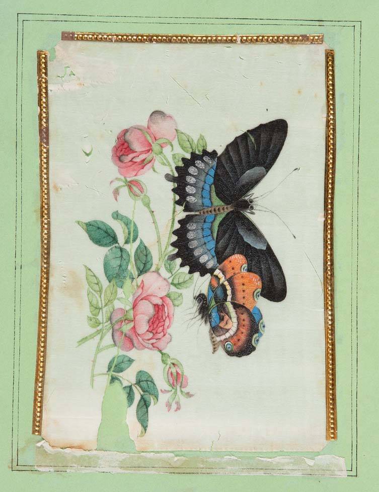 Butterflies on Rice Paper