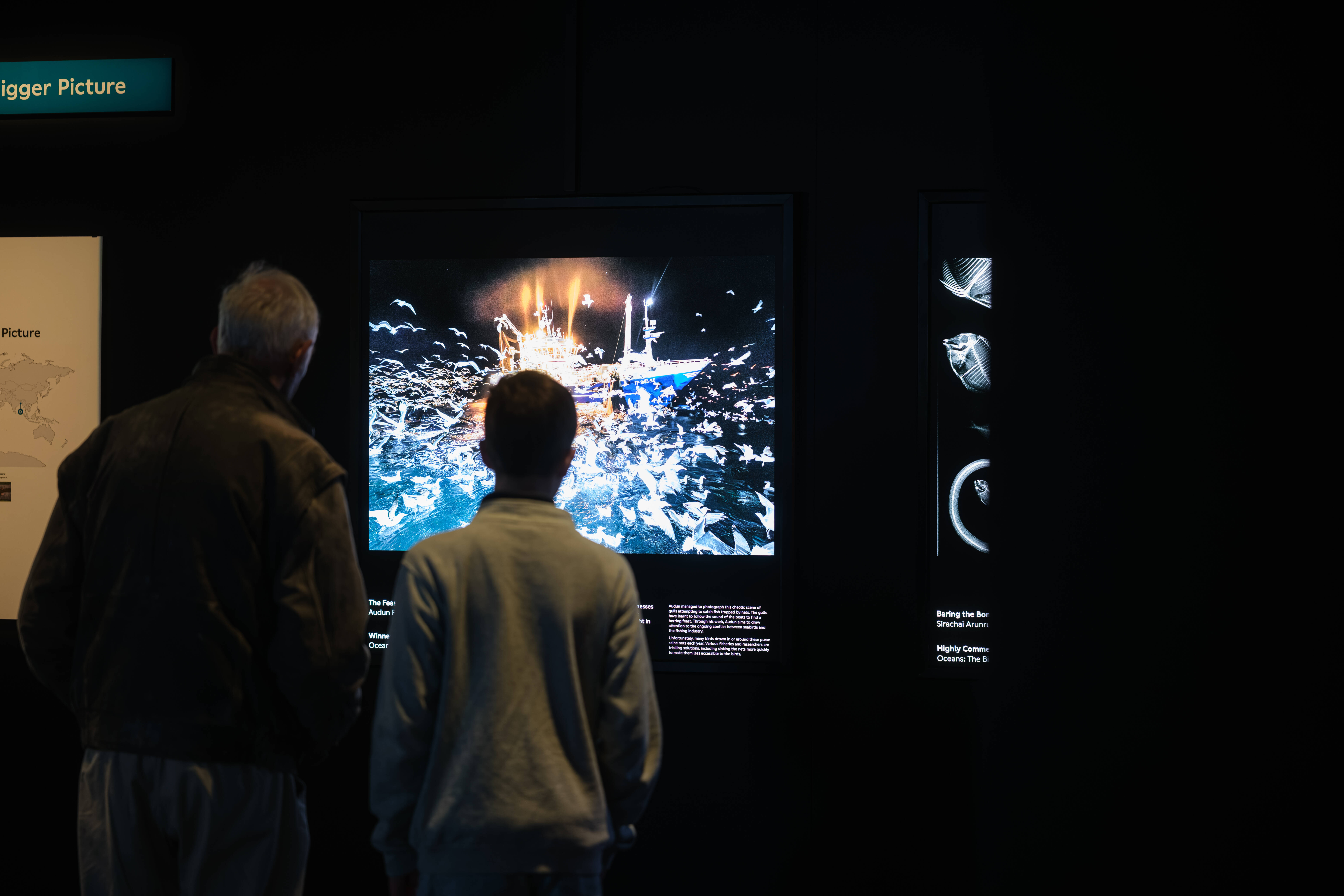 Sharks. An exhibition brought to you from the Australian Musuem