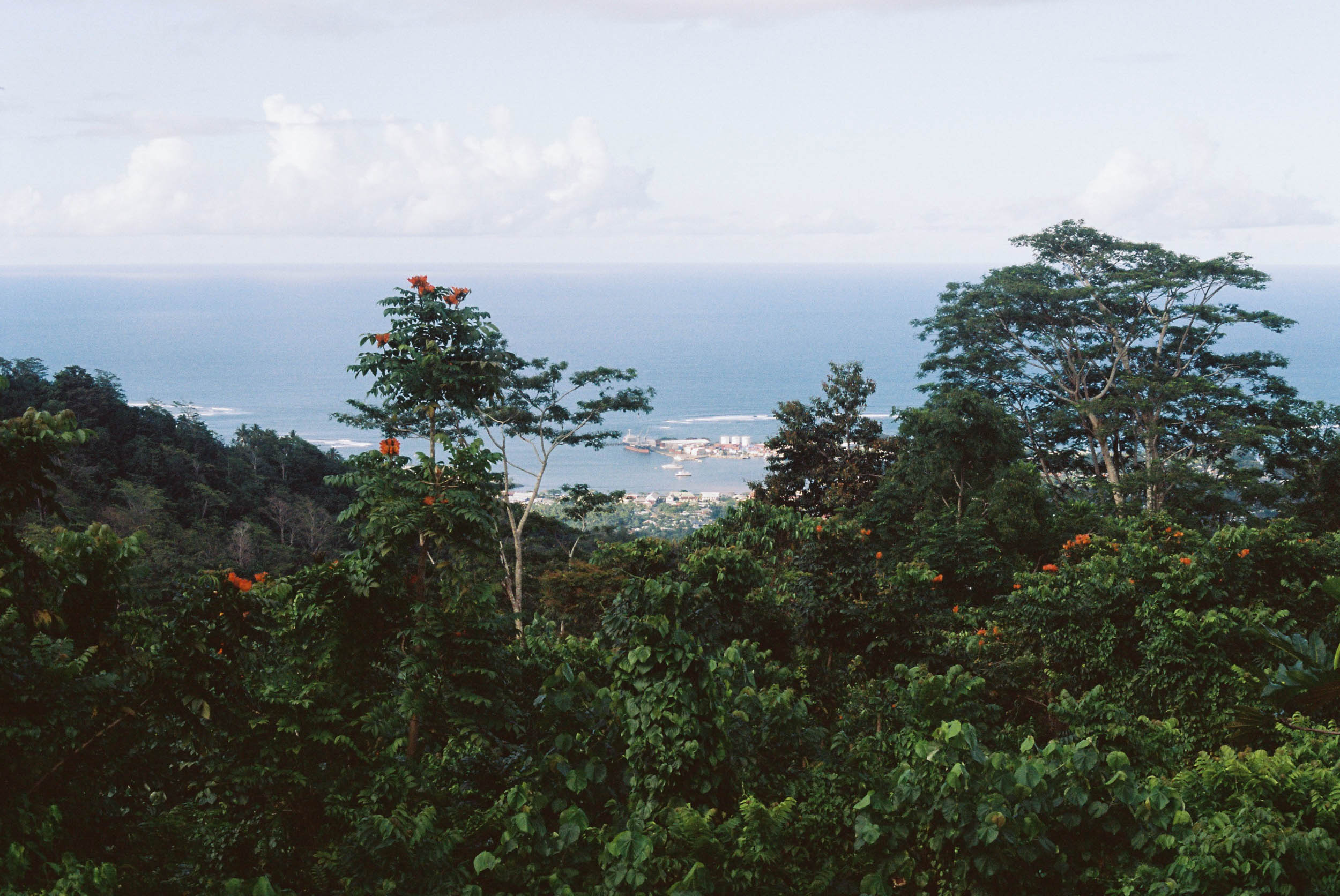 Apia's Port