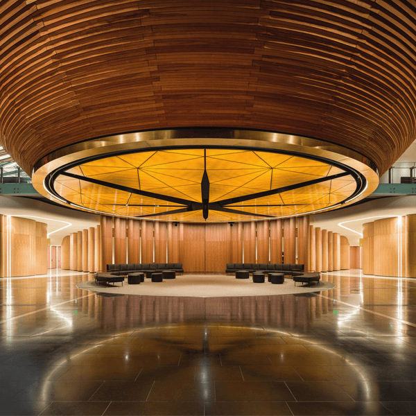 Auckland Museum Wins at Designers Institute of New Zealand 2021 Best Awards