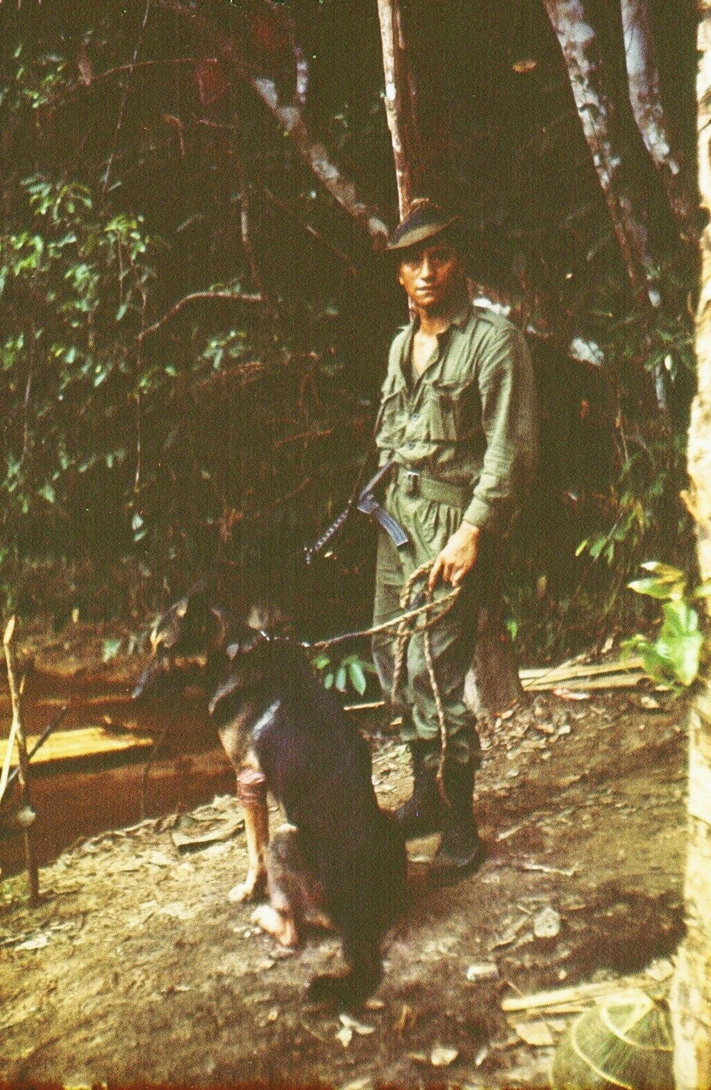 Soldier and dog